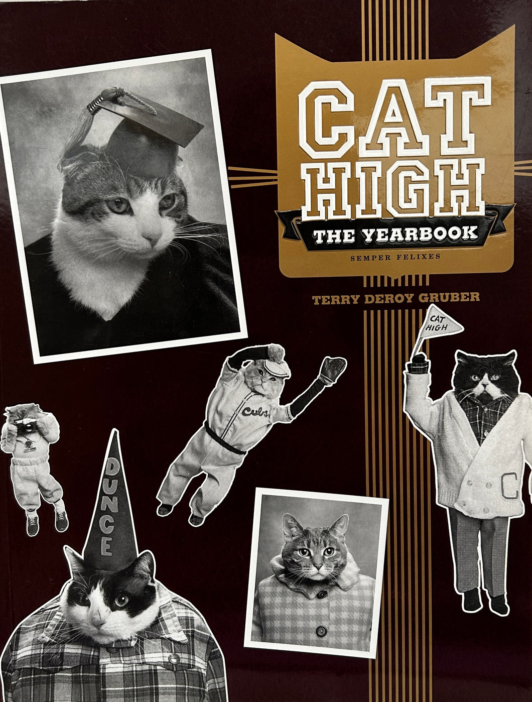 Cat High: The Yearbook