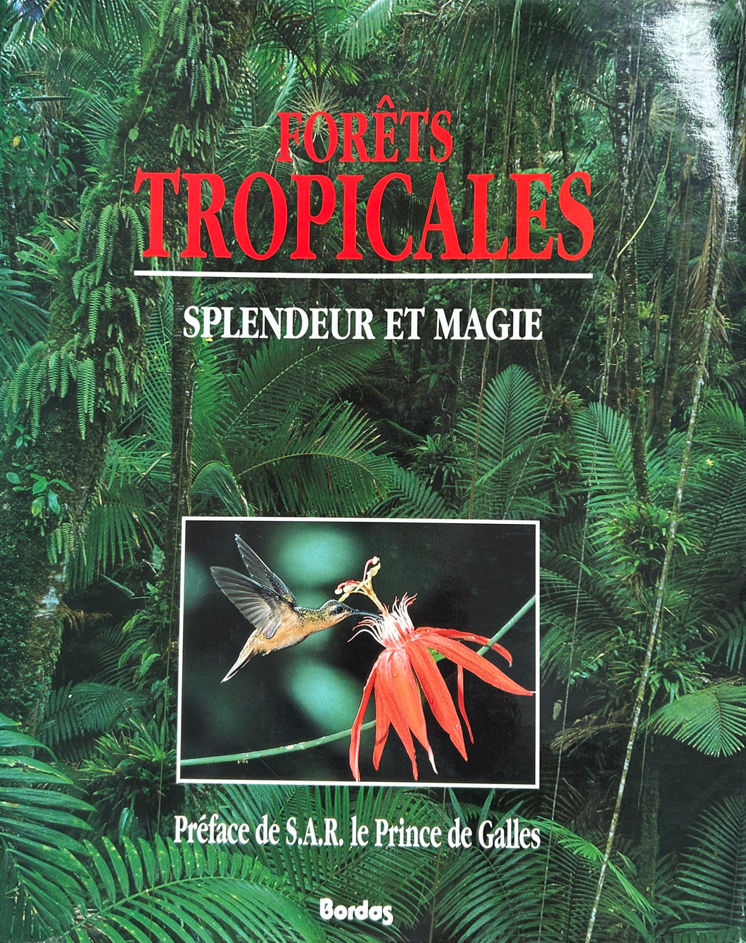 Forets Tropicales