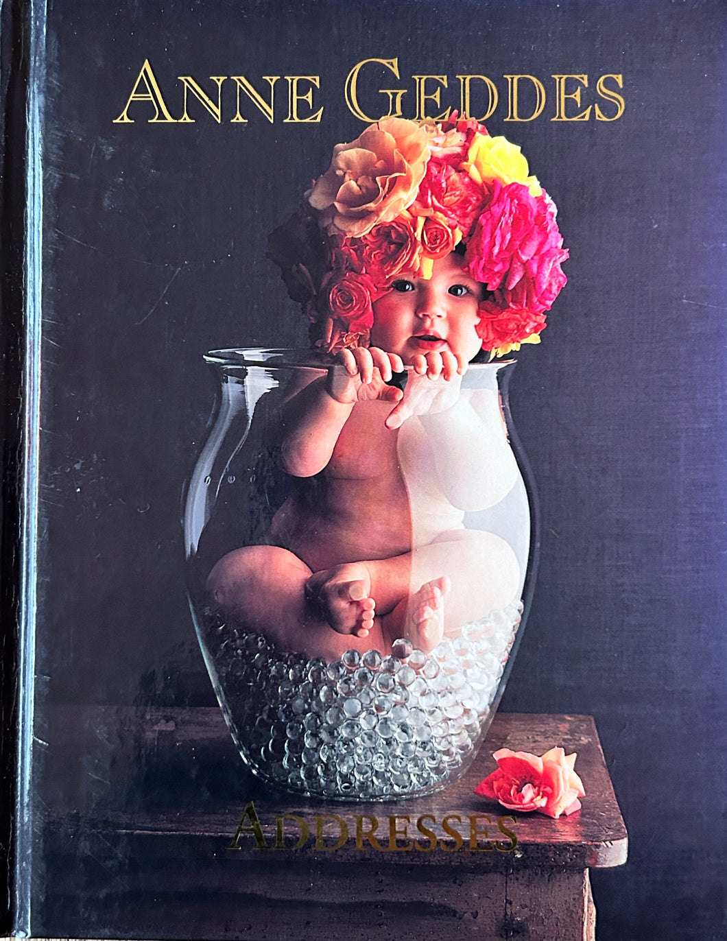 Anne Geddes Addresses