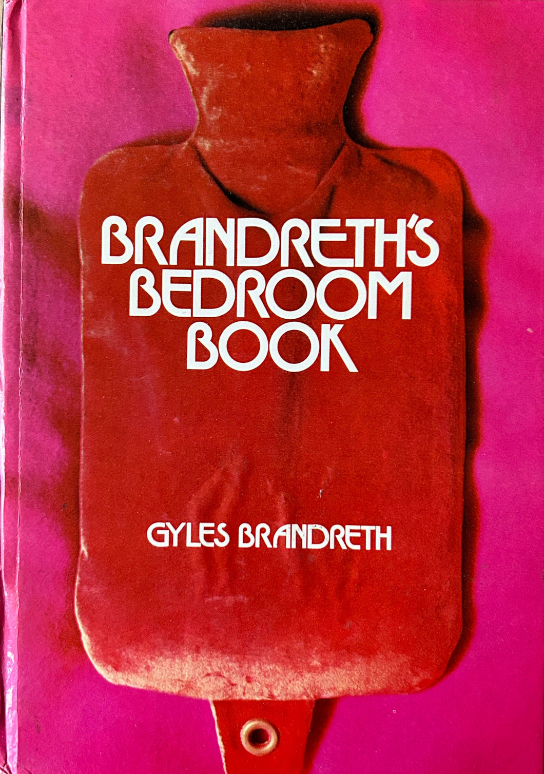 Brandreth's Bedroom Book