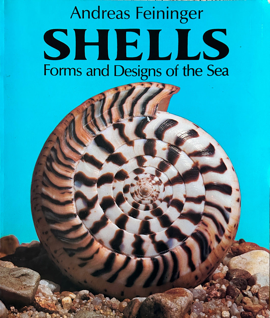 Shells