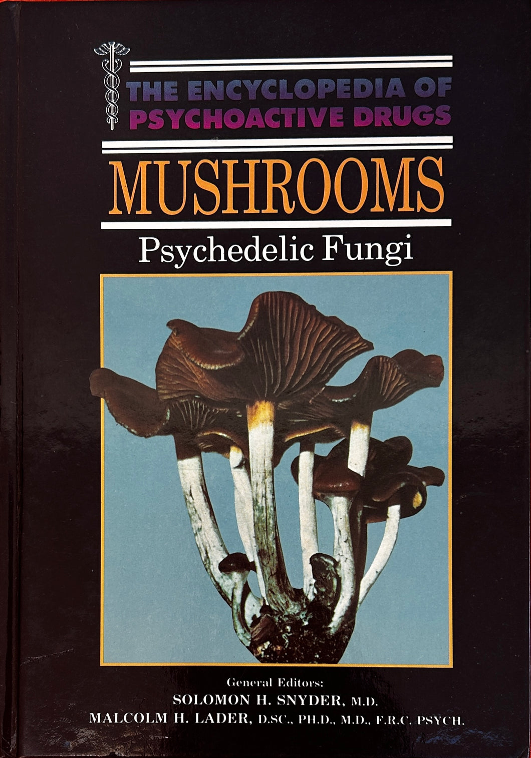 Mushrooms Psychedelic Fungi